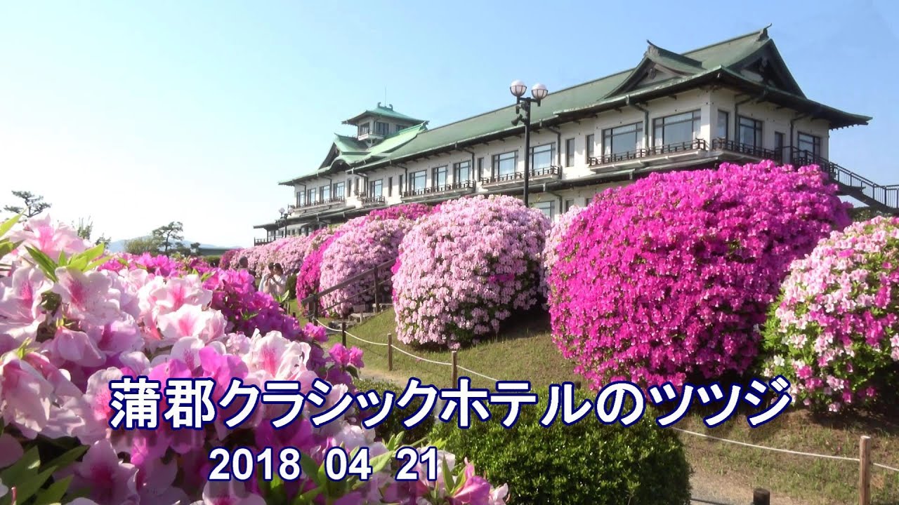 蒲郡クラシックホテルのツツジ　愛知県蒲郡市