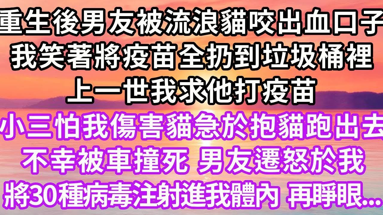 重生後男友被流浪貓咬出血口子，我笑著將疫苗全扔到垃圾桶裡，上一世我求他打疫苗，小三怕我傷害貓急於抱貓跑出去，不幸被車撞死，男友遷怒於我，將三十種病毒注射進我體內，再睜眼...#重生 #復仇 #大女主