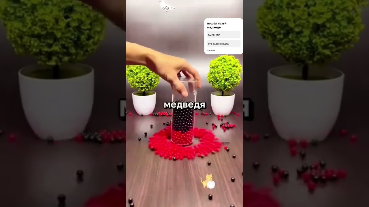 пошёл нахуй медведь просто пошёл нахуй