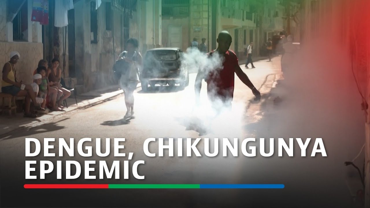 33 die of mosquito-borne illnesses in Cuba as epidemic rages | ABS-CBN News