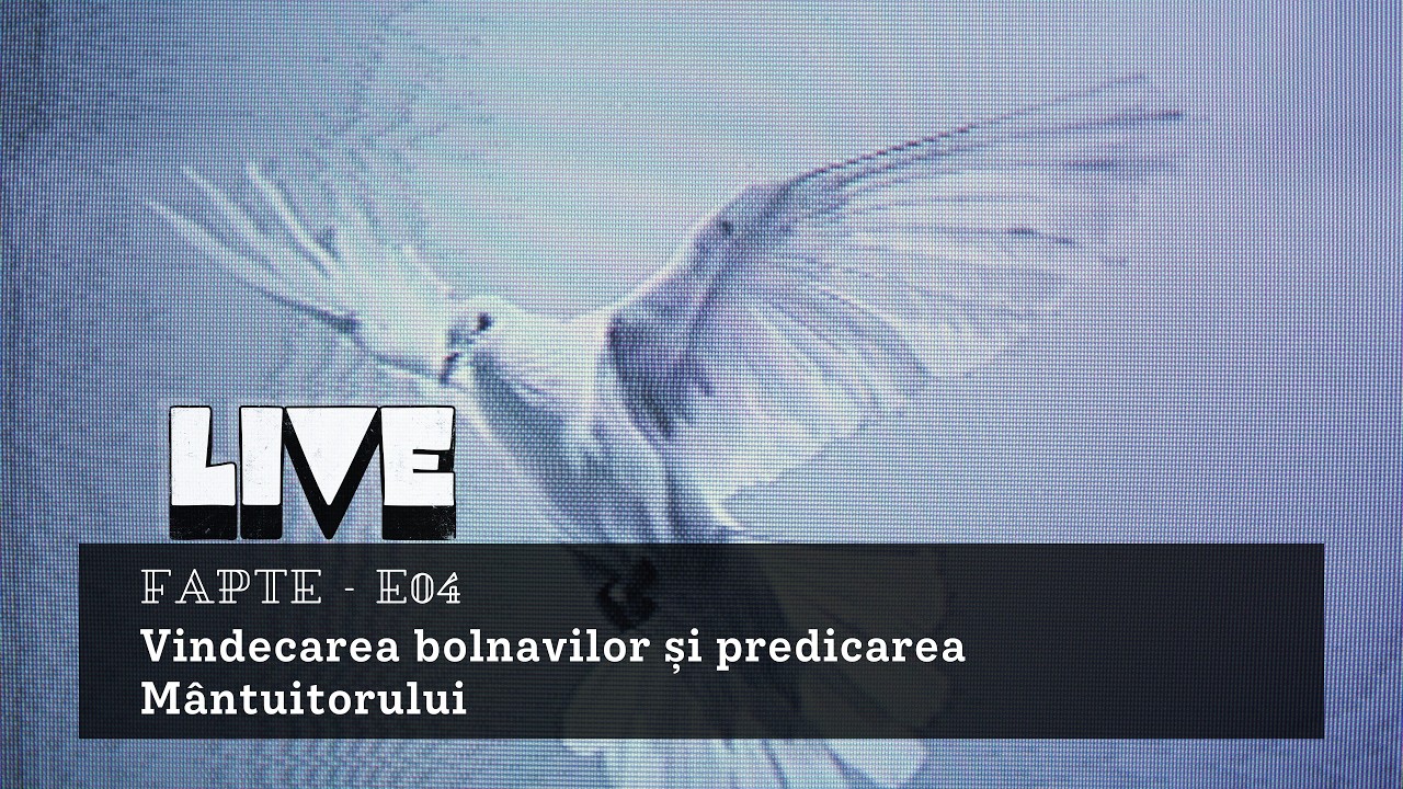 Fapte E04 - 