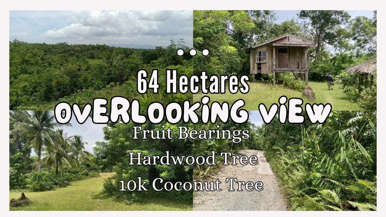 16A-296  Farmlot available | 64 Hectares| Tuhog ng brgy.road | With hardwood trees |Source of water