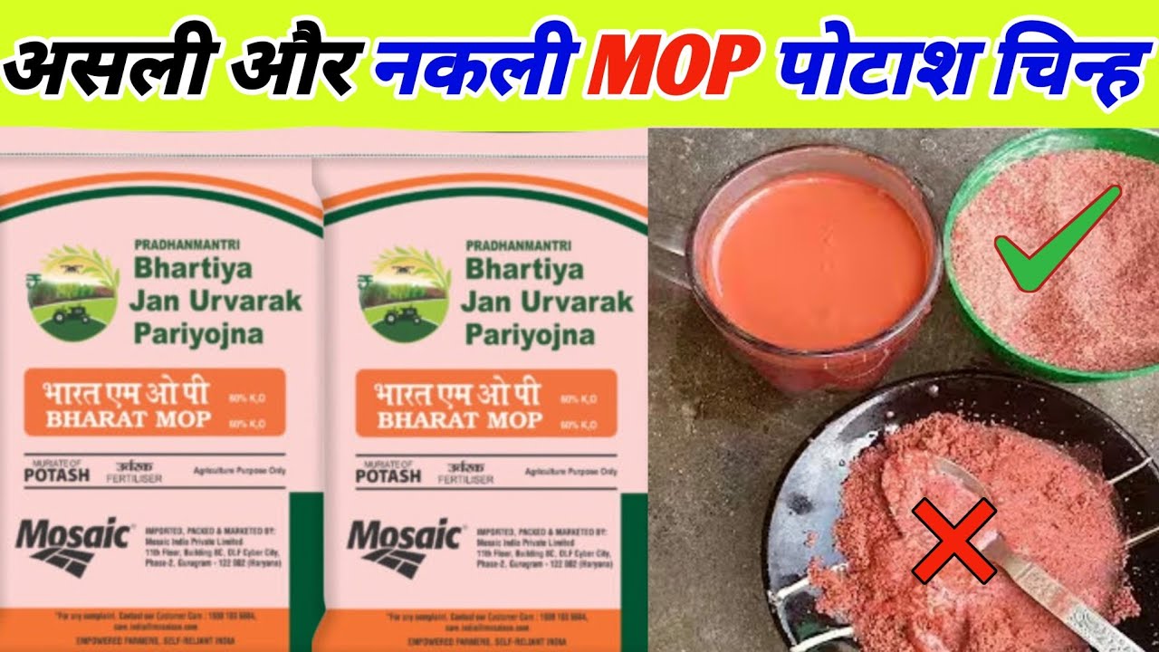 सबसे अच्छा पोटाश कौन सा है? Fasal me kon sa potash dale ? Mop vs organic potash। Bio potash ya mop