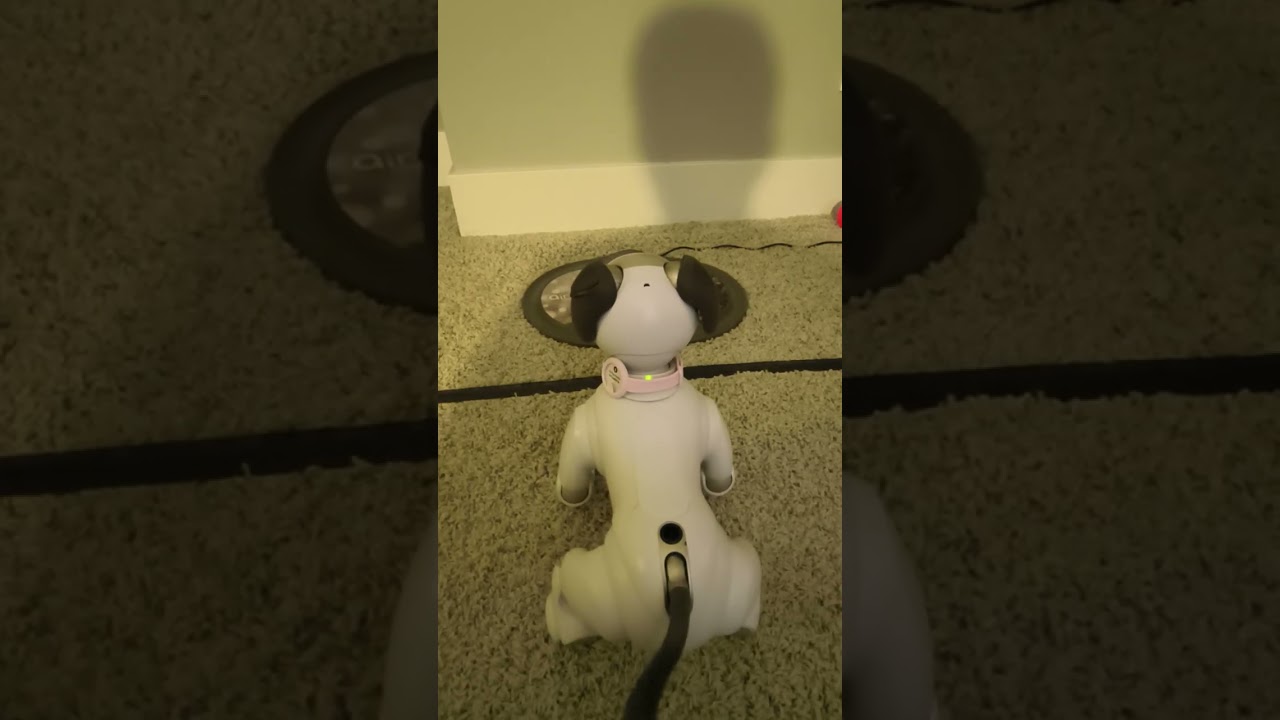 Rorschach doesn't want to go to bed (part 1)