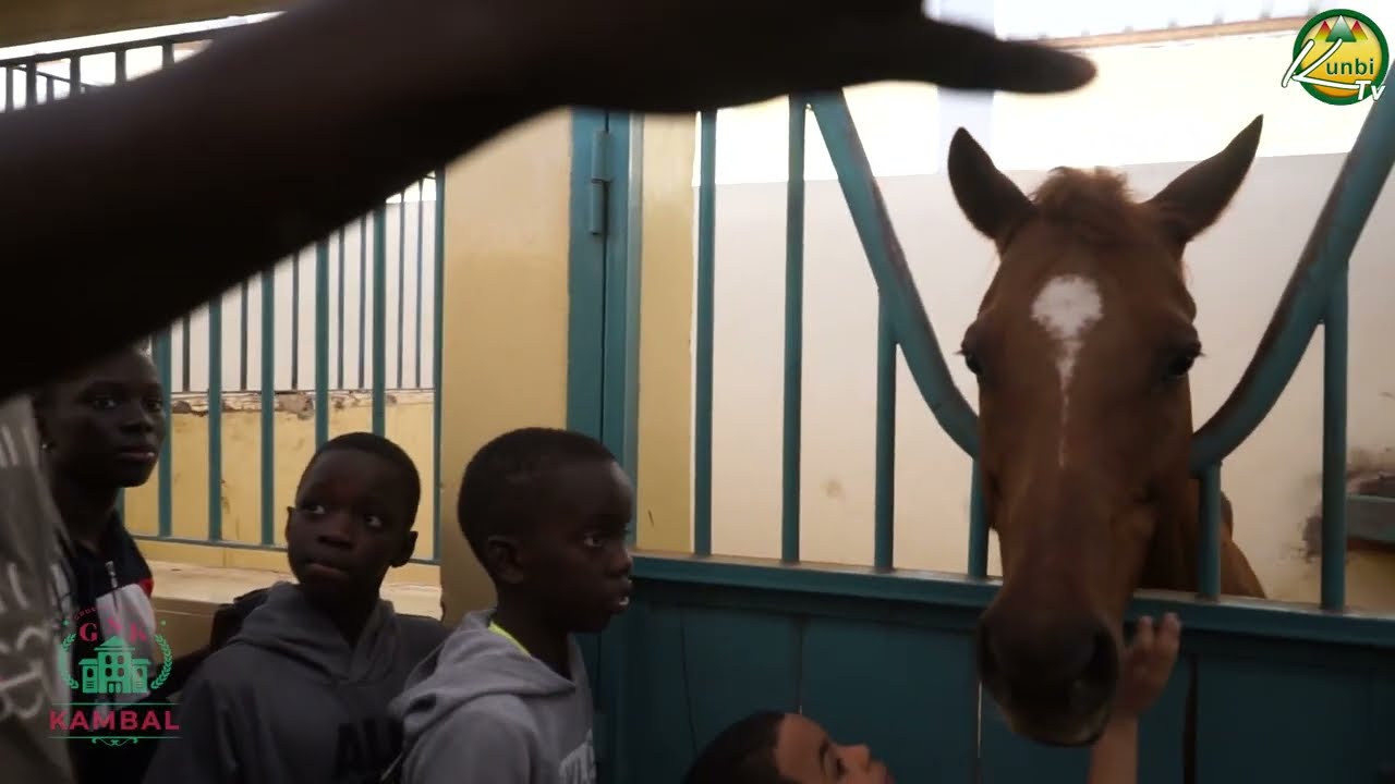 Escale au Haras national de kébémer