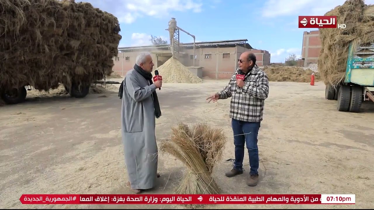 الحياة اليوم - لقاء خاص مع حمدي الأصفر أحد كبار مزارعي الكتان بالغربية