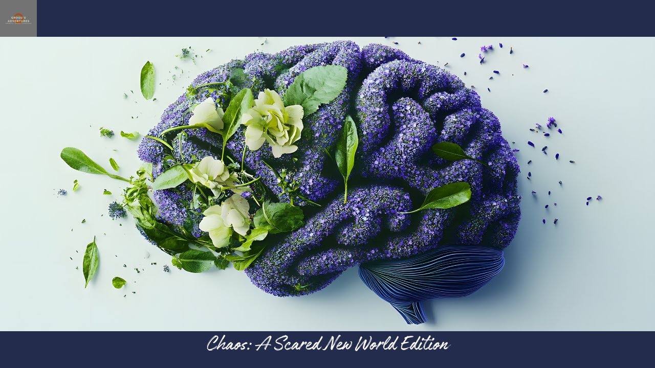 Chaos: A Scared New World Edition
