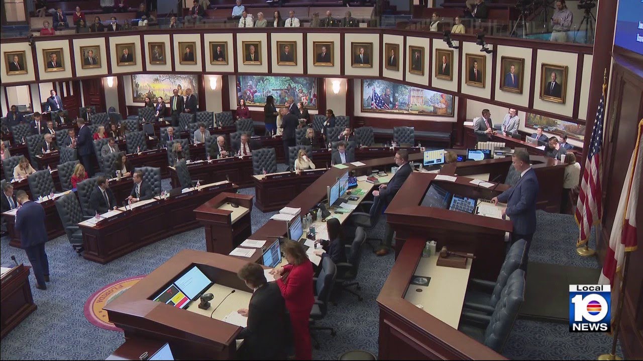 Florida House passes bill rolling back gun-buying age to 18