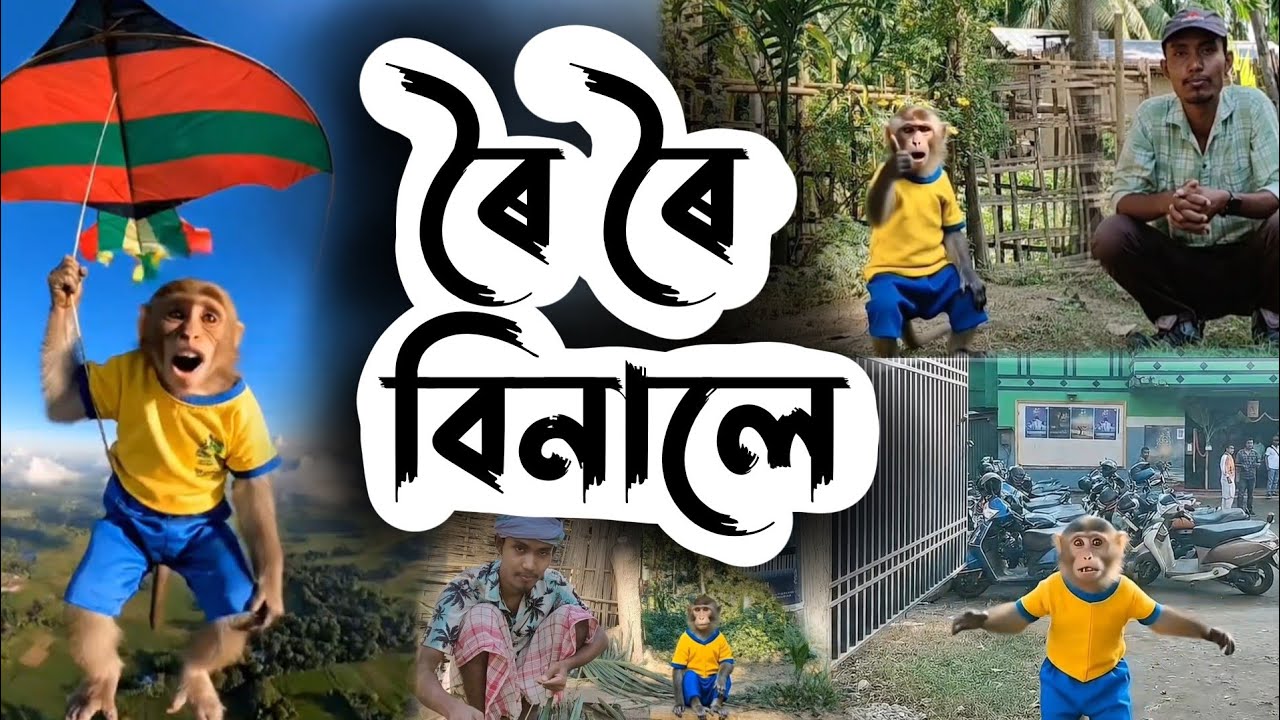ৰৈ ৰৈ বিনালে | Roi Roi Binale | Bandor Bhokot | Assamese Monkey Vlog