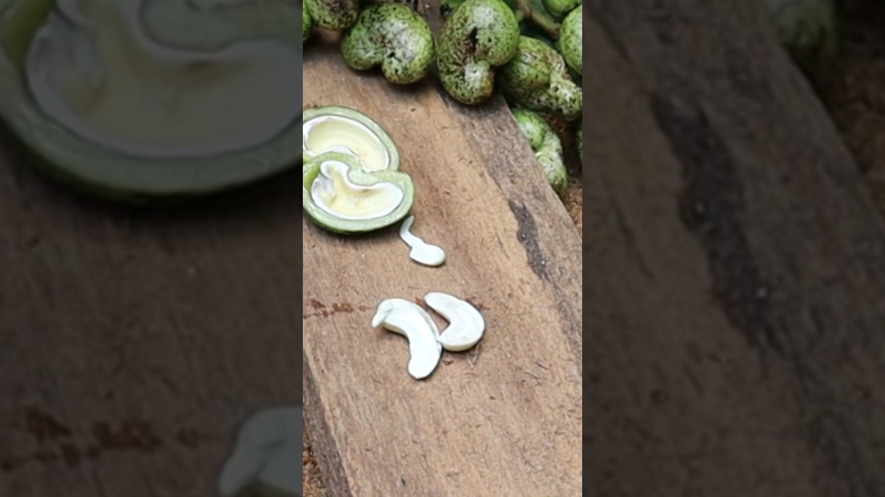 how to cut raw cashew nuts😃#shorts  #cashewnuts #dryfruits #cashewnut #cashewkernels