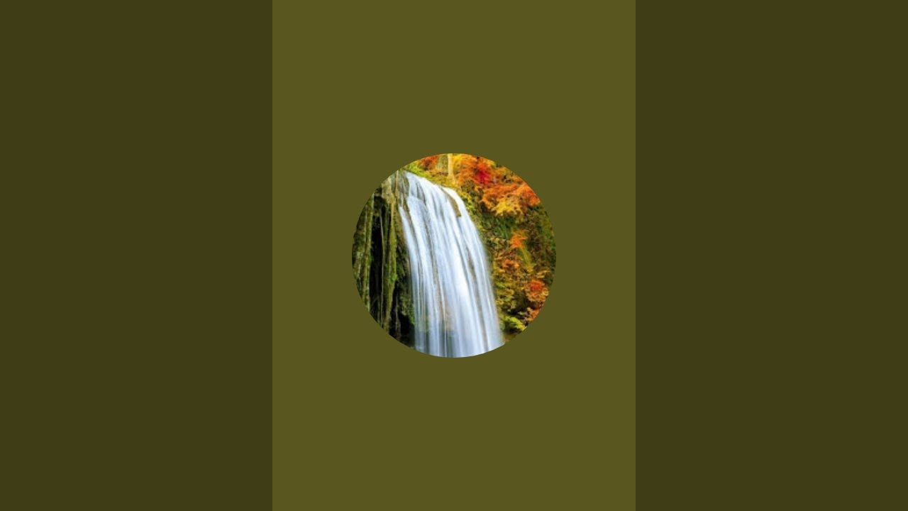 Asia touch is live කිරි අඟුන