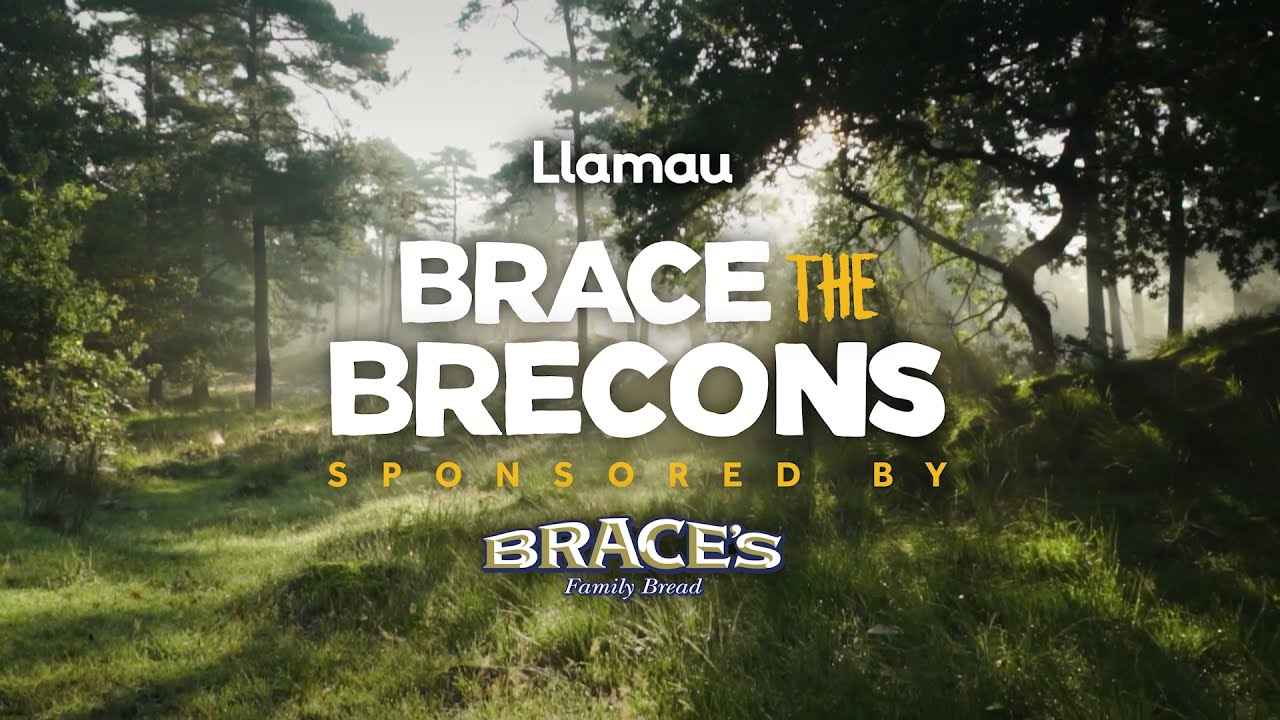 Brace The Brecons