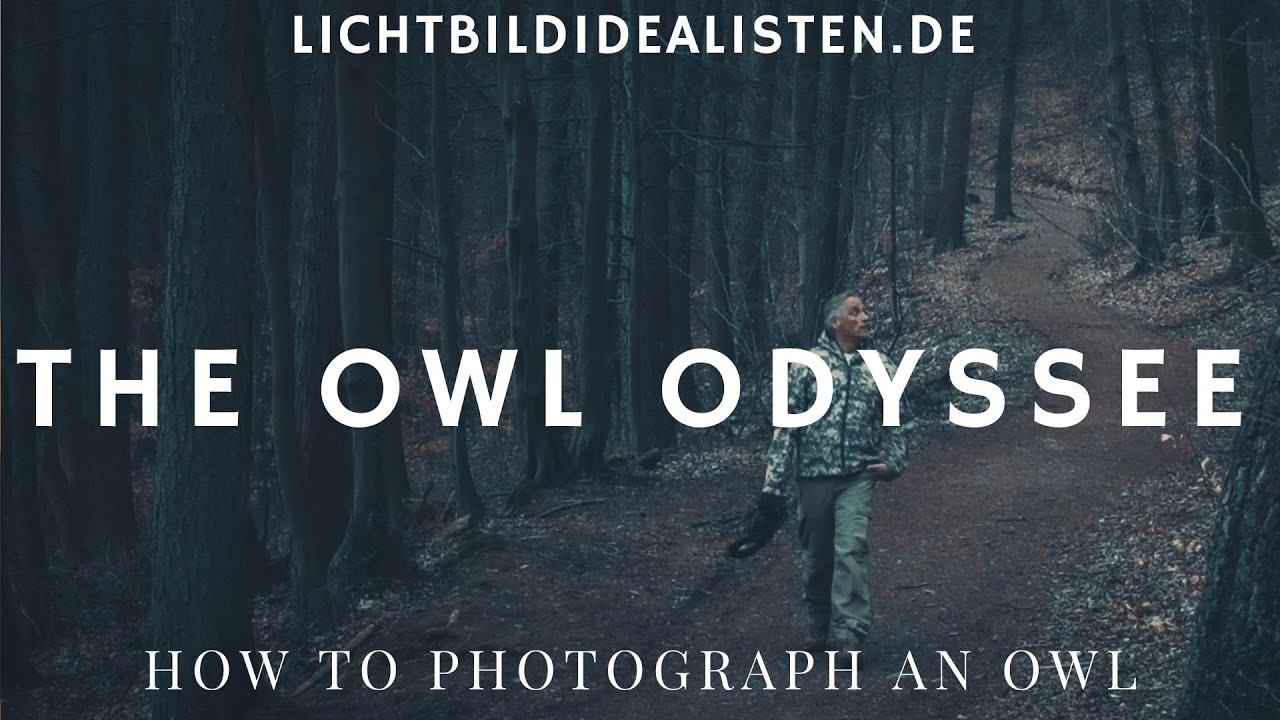 Eulen finden und fotografieren - The Owl Odyssee
