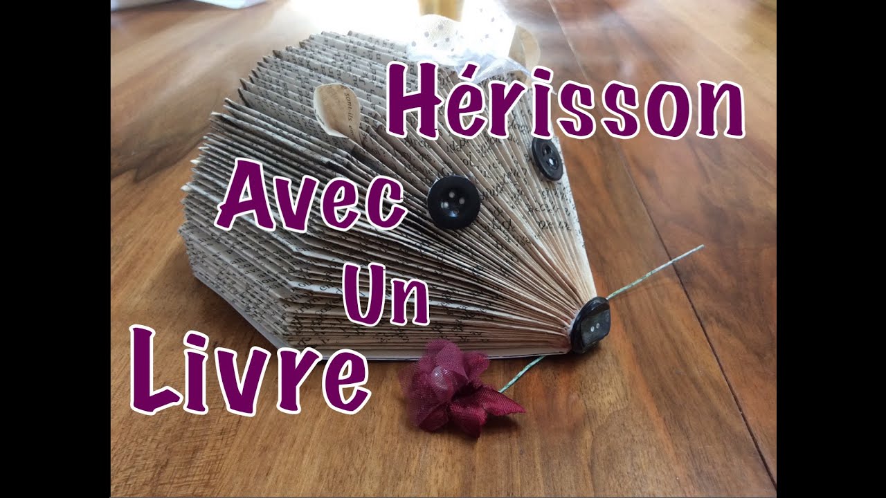 ~DIY~ Hérisson avec un Livre de Poche