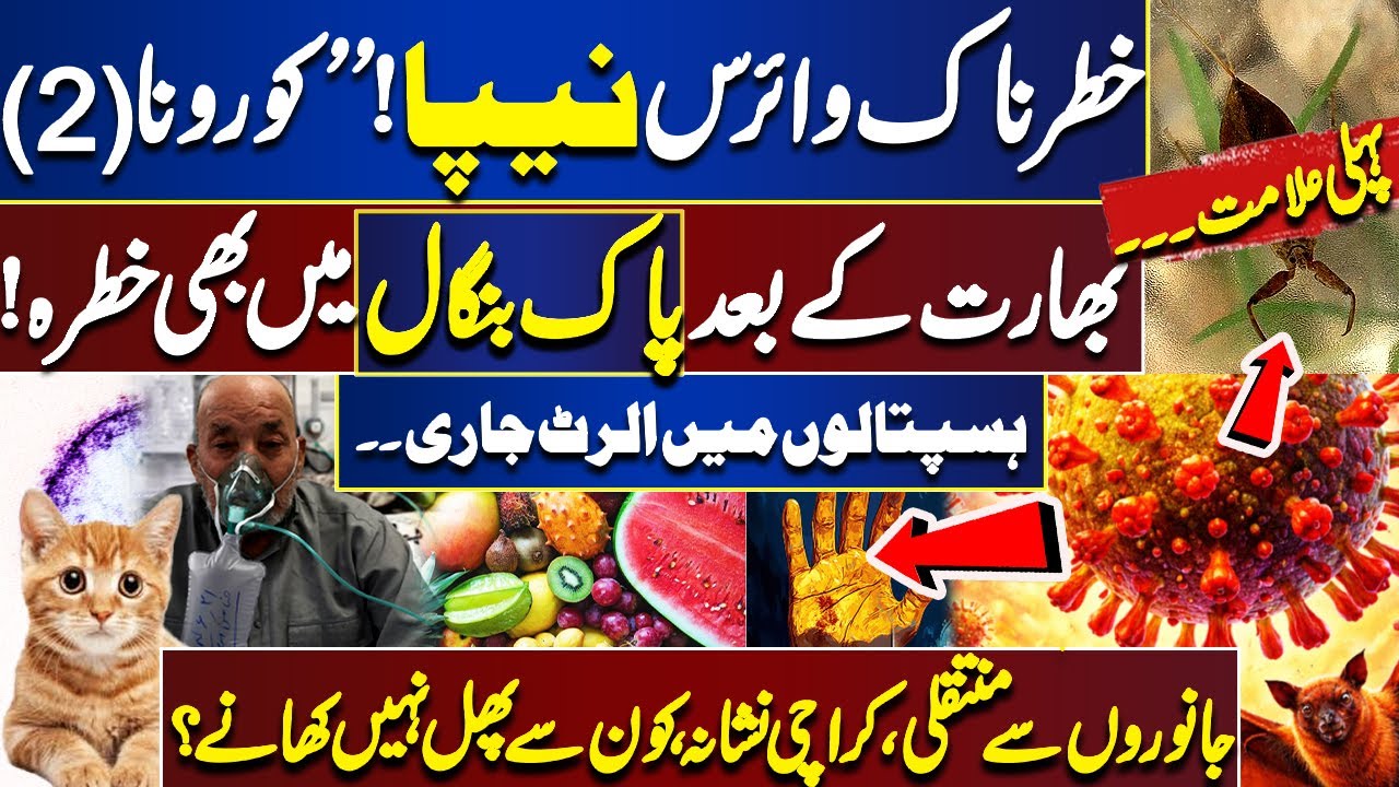 Deadly Nipah Virus | Pakistan on High Alert | Public Warning Issued | Corona 2.0? -India- Dunya News
