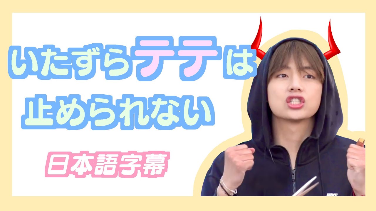 【BTS日本語字幕】いたずらテテは止められない。