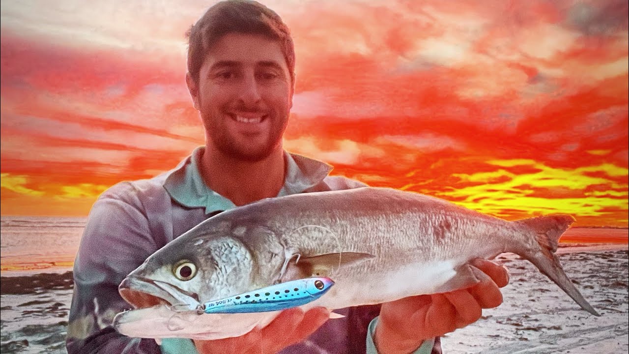 Fishing for some of Australia's biggest Tailor (Bluefish) on Halco Surface Lures! In GERALDTON!