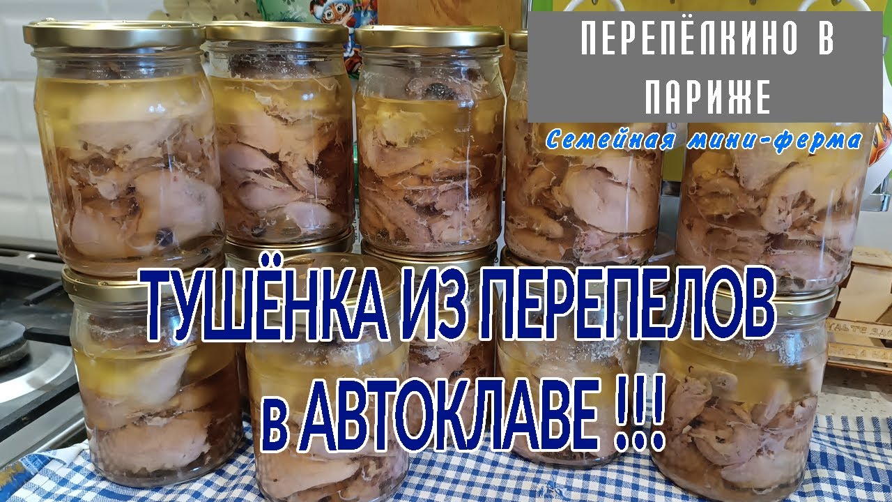 ТУШЕНКА ИЗ ПЕРЕПЕЛОВ