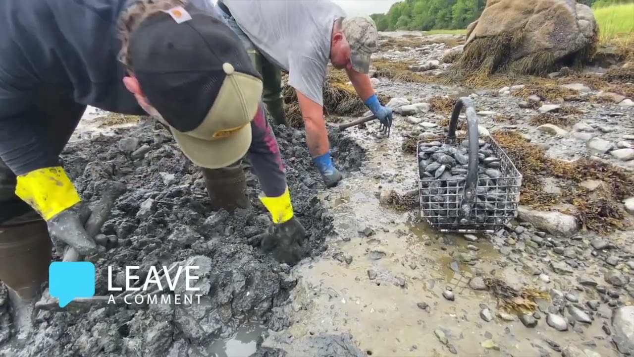 Digging for Steamers in Remote Maine | The Hard Work Behind Sustainable Clamming