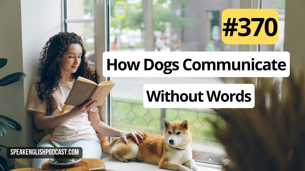 370 How Dogs Communicate Without Words - Speak English Now Podcast