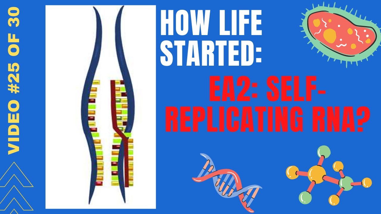 Abiogenesis Solved: Video 25 of 30: Self-Replicating RNA is an Erroneous Assumption(UnEdited)
