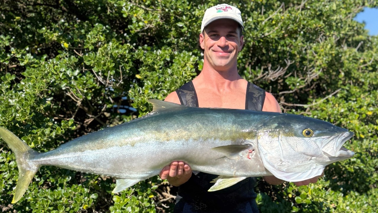Spearfishing For Christmas Day
