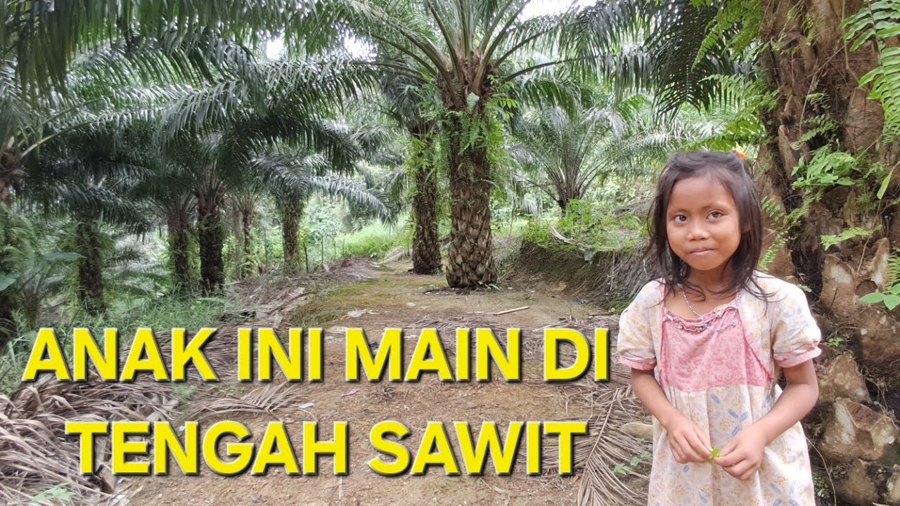 SARAH PUTRI BANG IPAN TIDAK MAU SEKOLAH 