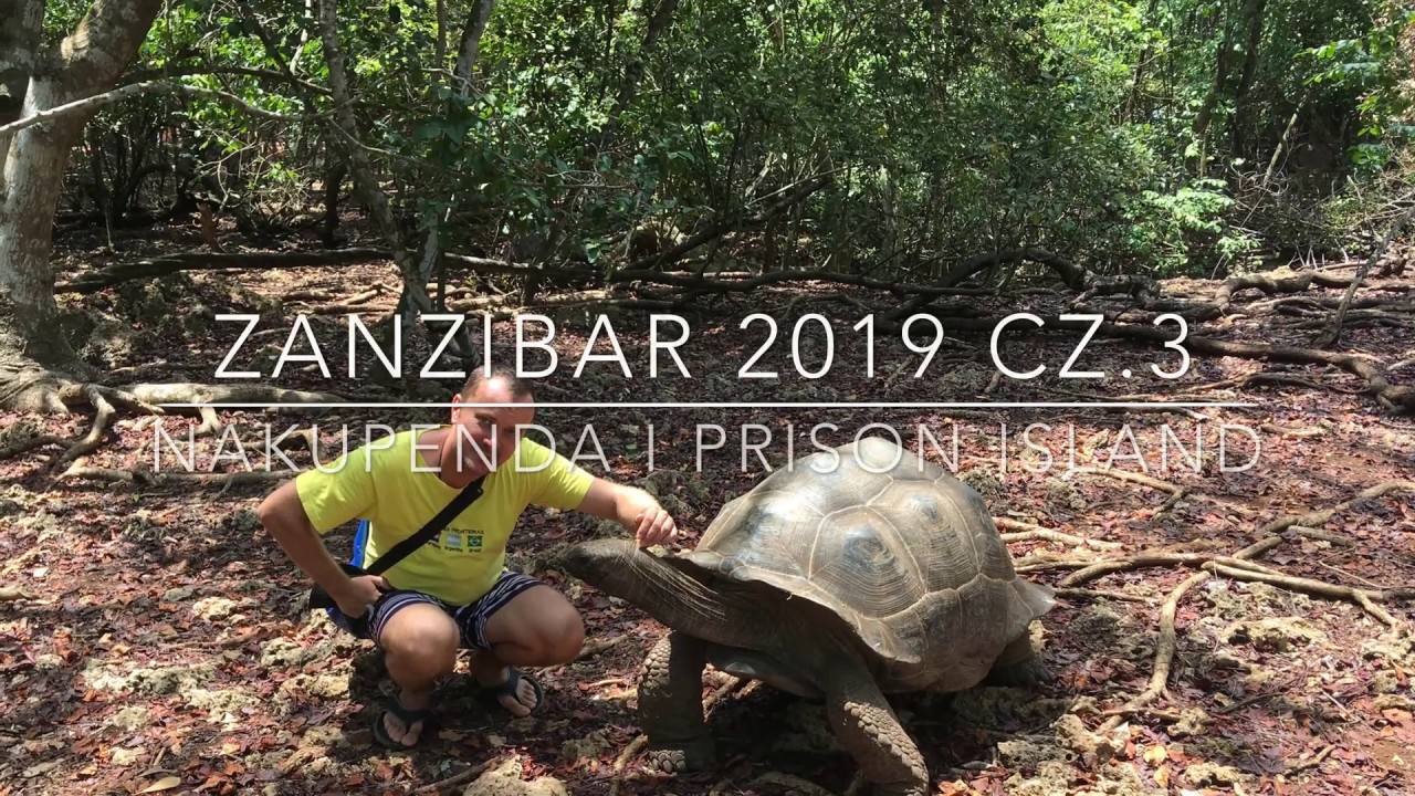 # 169 Zanzibar 2019: cz. 3 - Nakupenda i Prison Island