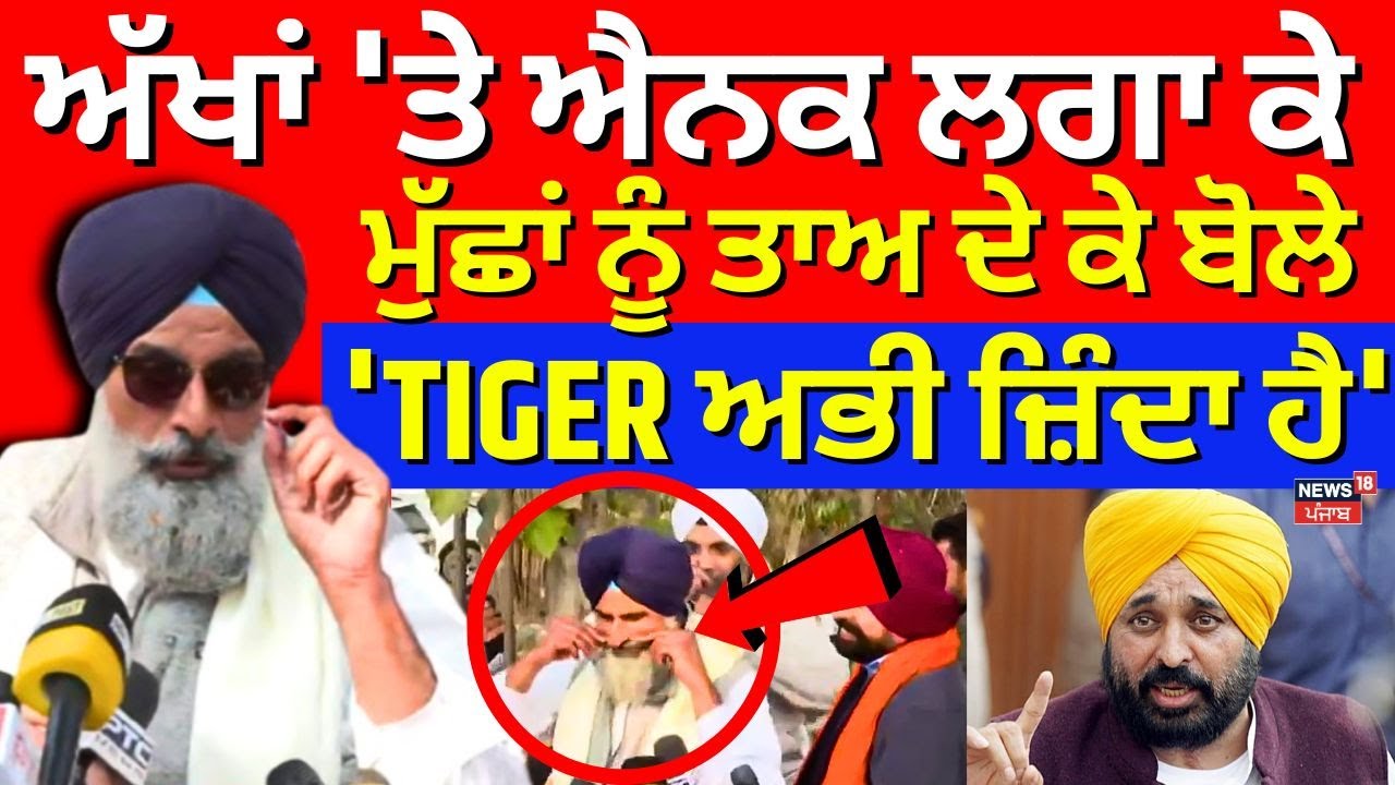 Live | Bikram Majithia | ਅੱਖਾਂ 'ਤੇ ਐਨਕ ਲਗਾ ਕੇ, ਮੁੱਛਾਂ ਨੂੰ ਤਾਅ ਦੇ ਕੇ ਬੋਲੇ, 'TIGER ਅਭੀ ਜ਼ਿੰਦਾ ਹੈ' |CM