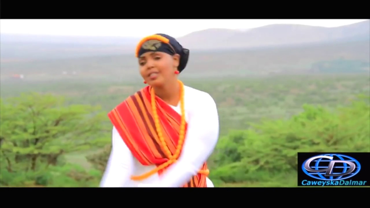 *Dhaanto  Cusub | Mustafe & Markay Madaxda Sare Timid | Mixed Footage 2018