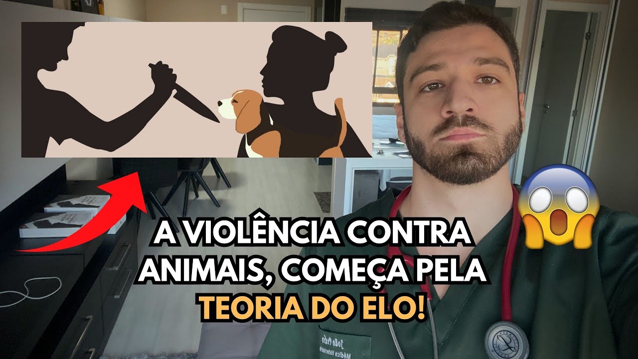 Caso Cão Orelha e a Teoria do Elo: quando a violência não começa no animal