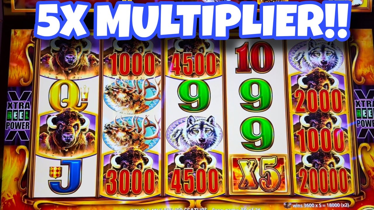5X Multiplier BIG WIN on Buffalo Gold Cash Collection! #yaamava #casino #slots