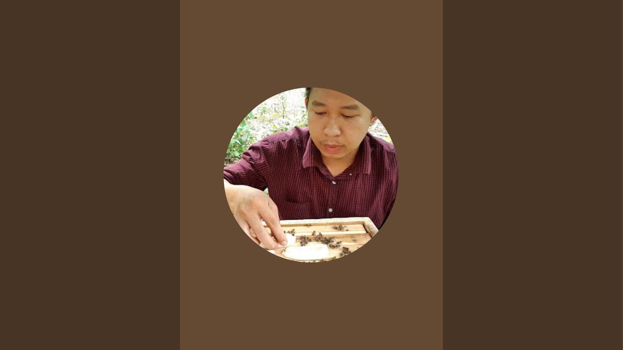 Trung Bee TV kỹ thuật nu&ocirc;i ong mật hiệu quả