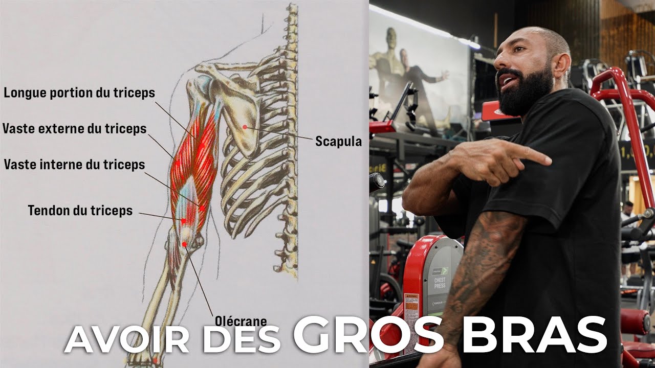 COMMENT AVOIR DE GROS BRAS ? TRICEPS