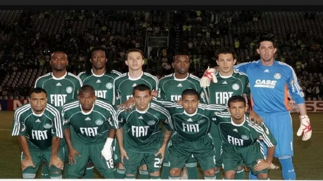 Palmeiras no Brasileiro 2008