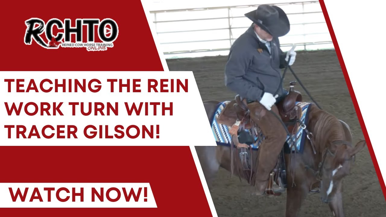 Teaching The Rein Work Turn with Tracer Gilson!