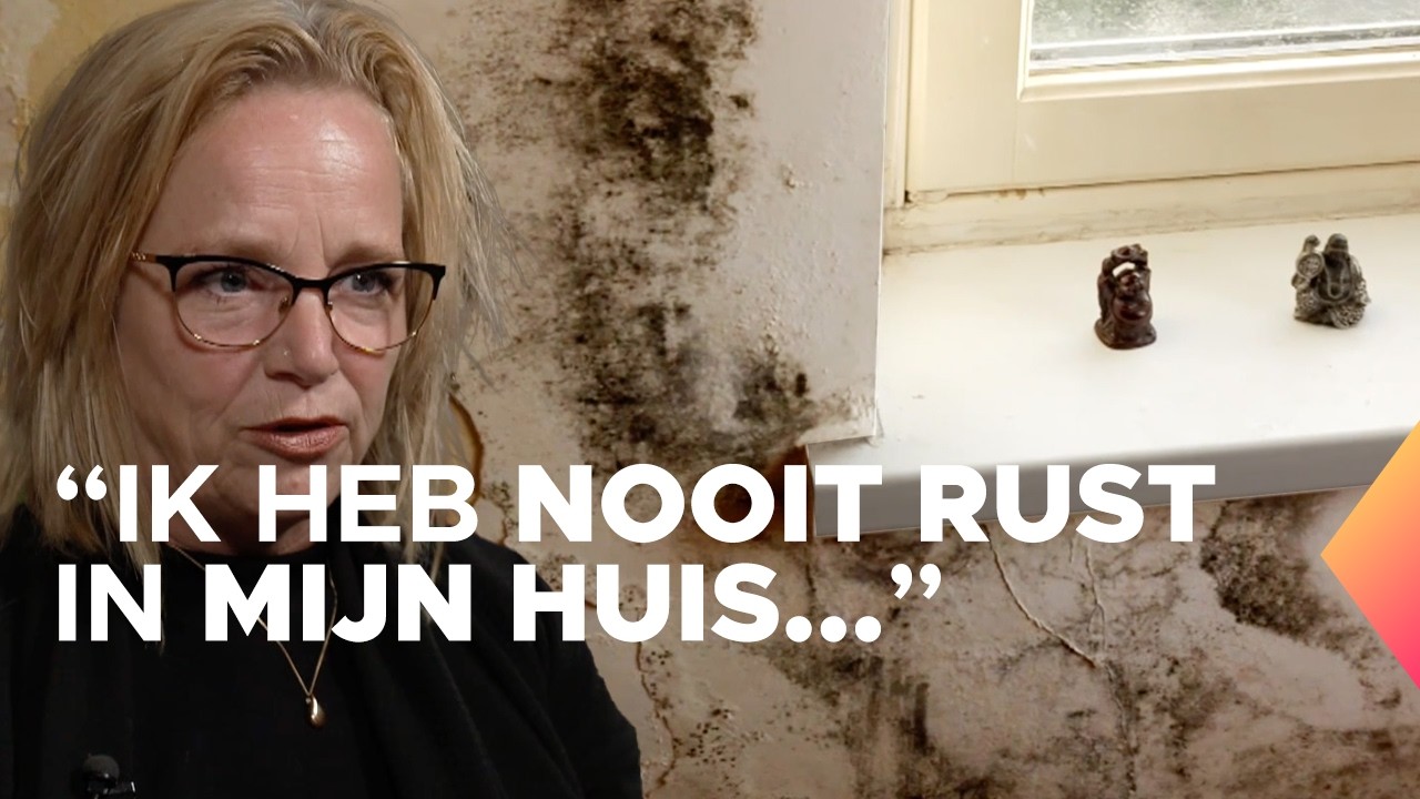 Ernstige schimmel en vocht is voor veel huurders een enorm probleem