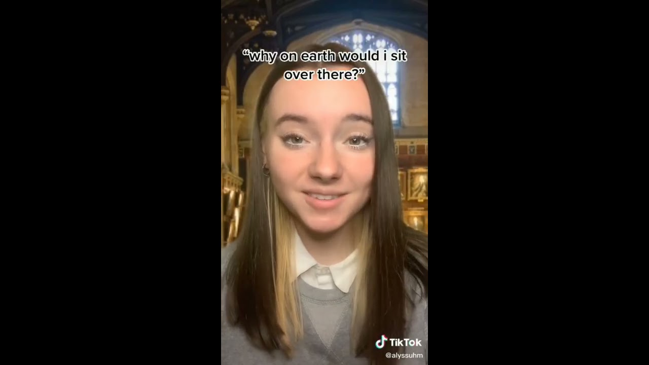 TIKTOK COMPILATION OF HARRY POTTER POV PT 9😌