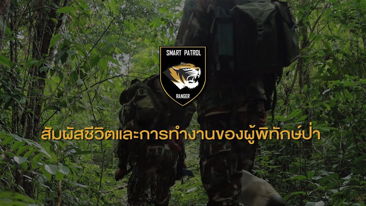 ep.3 สัมผัสชีวิตและการทำงานของผู้พิทักษ์ป่า