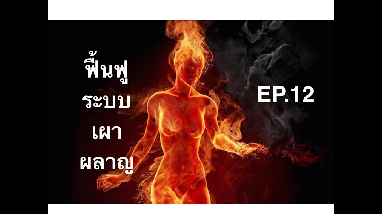 รู้แล้วผอม ep12. ปรับระบบเผาผลาญ เพื่อลดน้ำหนัก ลดพุง ให้ได้ผลดี FCAJOHN