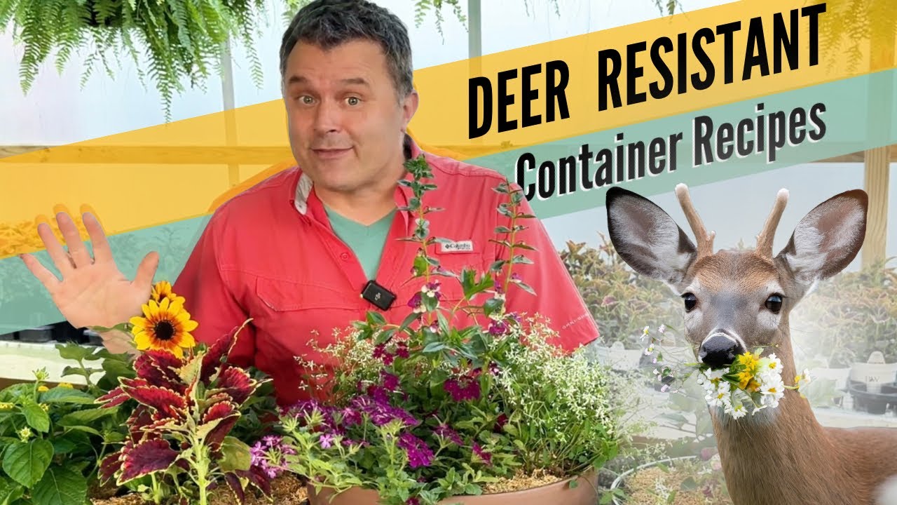 Planting Container Recipes the Deer Won’t Eat (Hopefully)