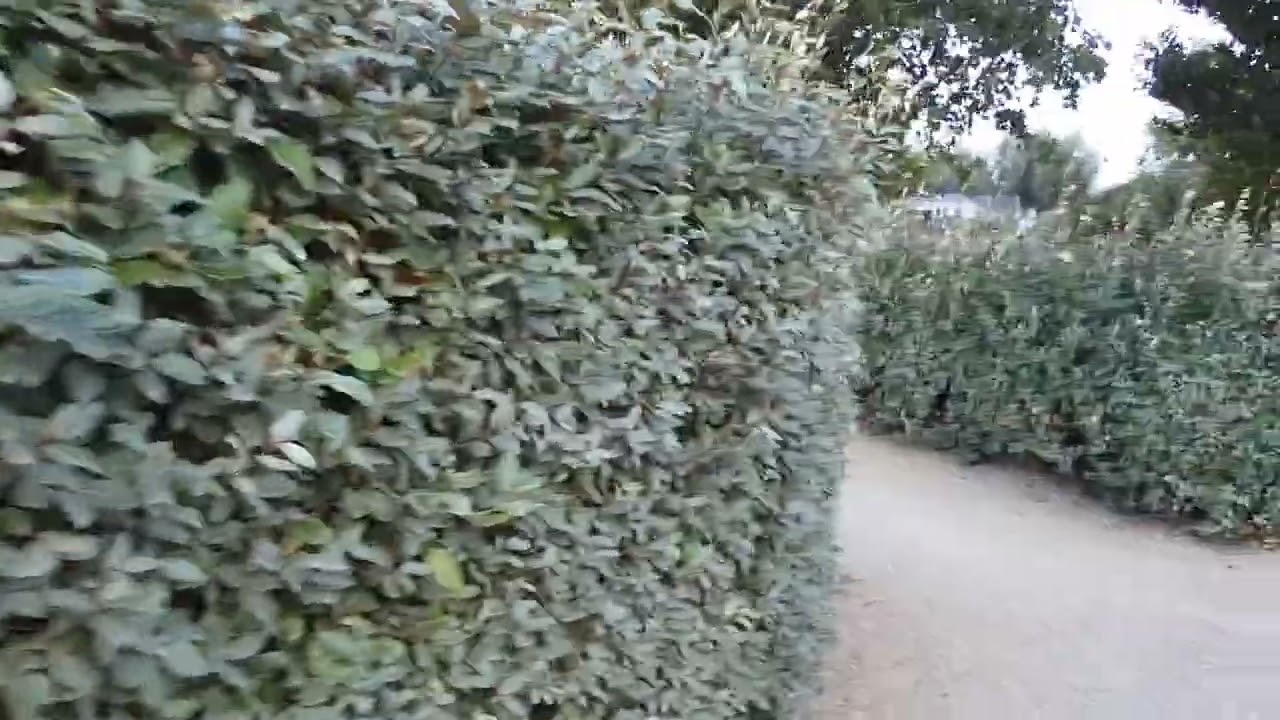 Kompas Camping Nieuwpoort tour Aug 2022.