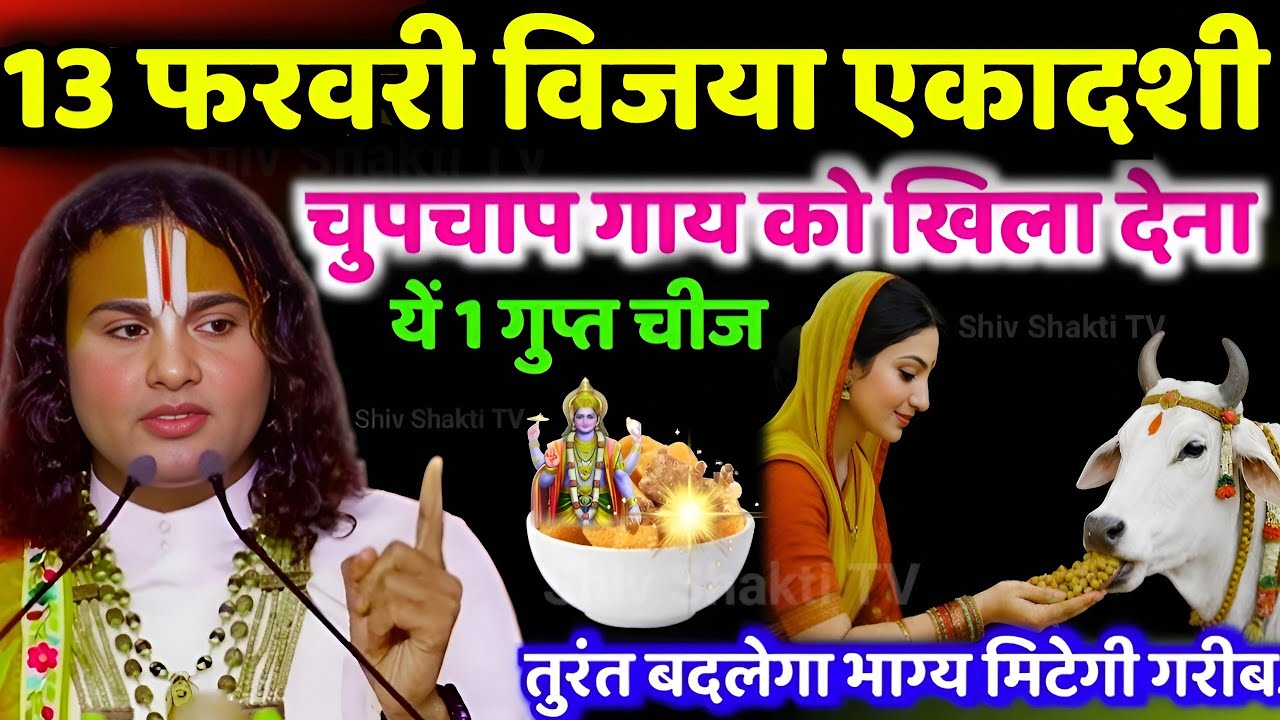 13 February 2026 विजया एकादशी पर गाय को खिला देना 2 रुपये की चीज रातों रात किस्मत चमक जाएगी#upay​