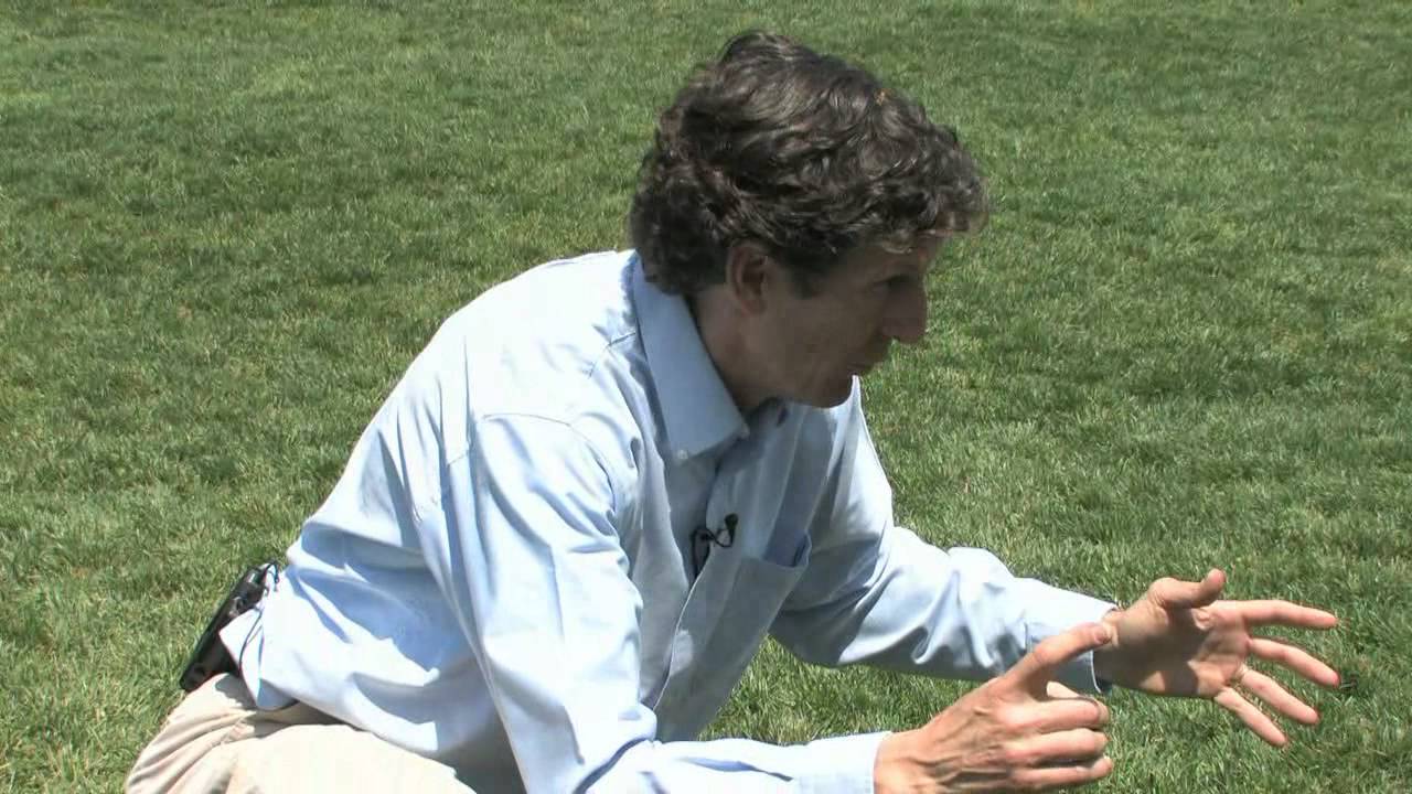 Give Me an Answer - #1011 - Ohio State University