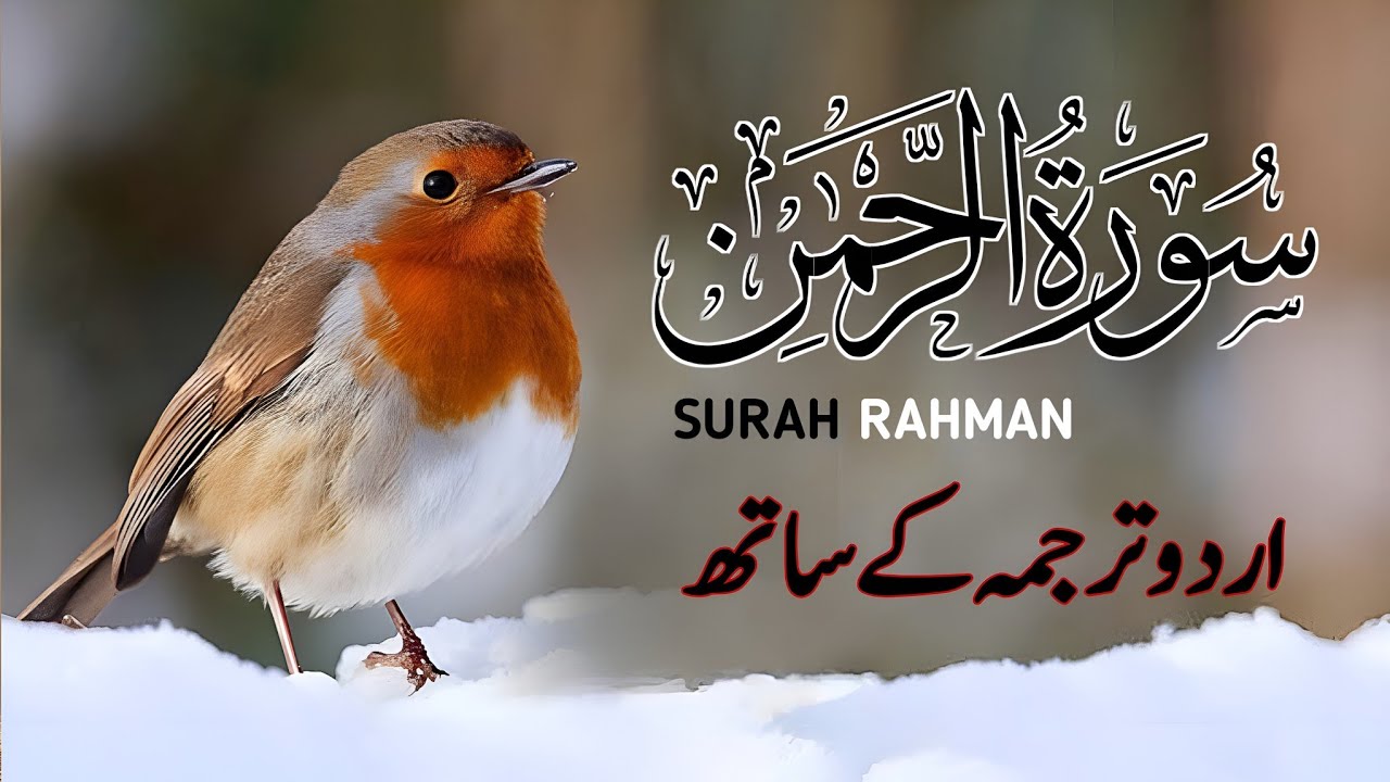 Surah Rahman With Urdu Translation full Qari Al Sheikh Abdul Basit Abdul Samad ( tilawat e quran )