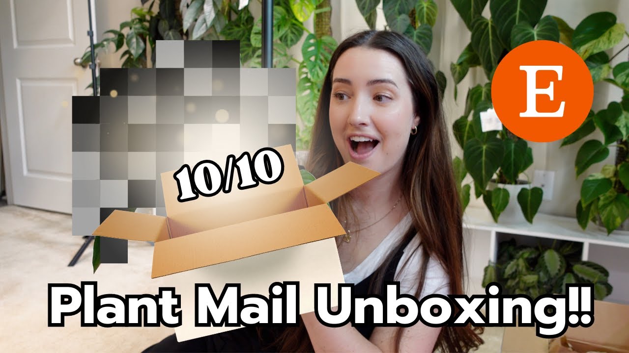 Unbox New Plant Mail with me from Etsy! SO IMPRESSED!