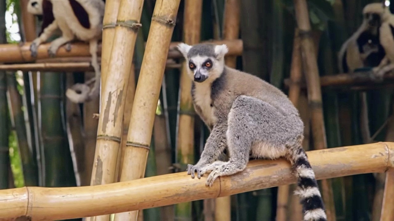 Madagascar, les tr&eacute;sors de l'&icirc;le rouge