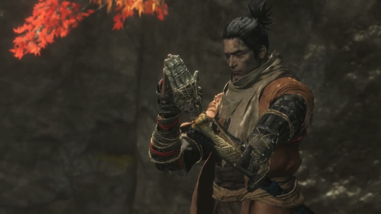 Bigger Sekiro Boss Dump