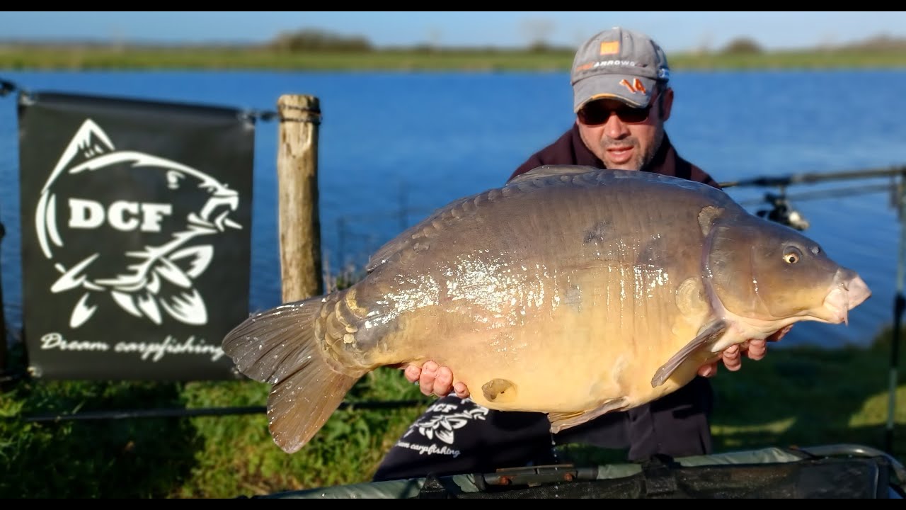 Pèche à la carpe Dream carpfishing en rivière 20+  et  19+