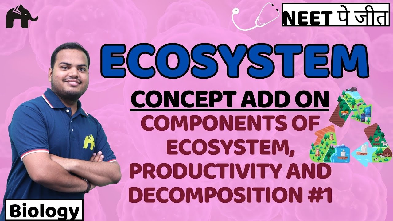 Ecosystem Class 12 Biology NEET | NCERT Chapter 12 | Components, Productivity, Decomposition #1